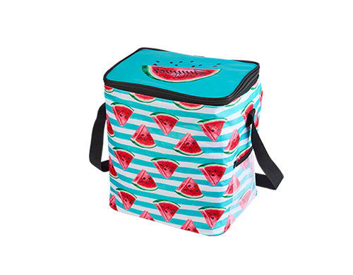 Kühltasche